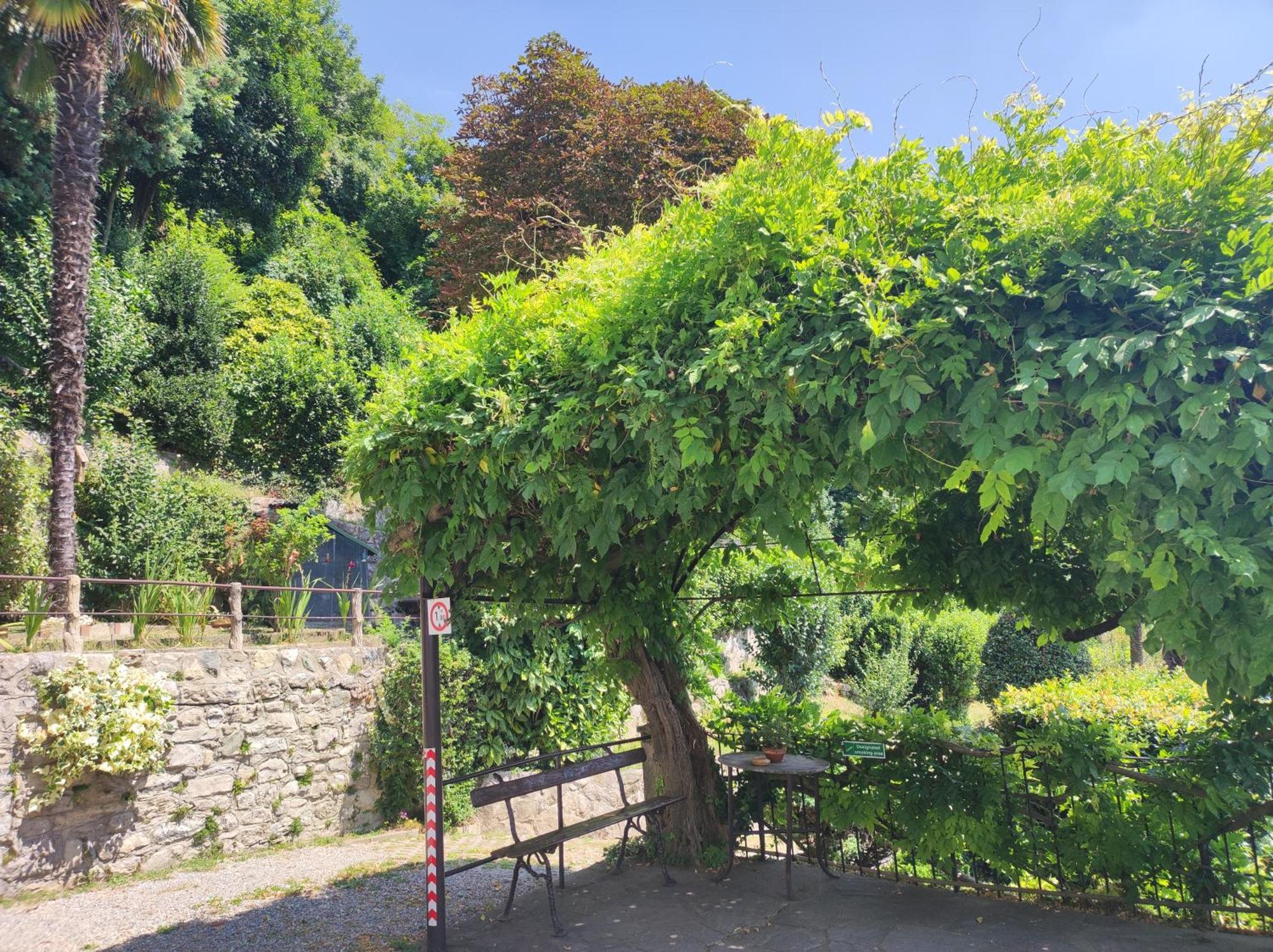 Villa Antonella, App. Vittoria Tavernerio 외부 사진